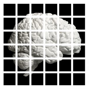 Grid: Brain Wall Installation Digital ink jet print. 85.5” x 85.5” x 1.25”. 12 x 12. 2011.