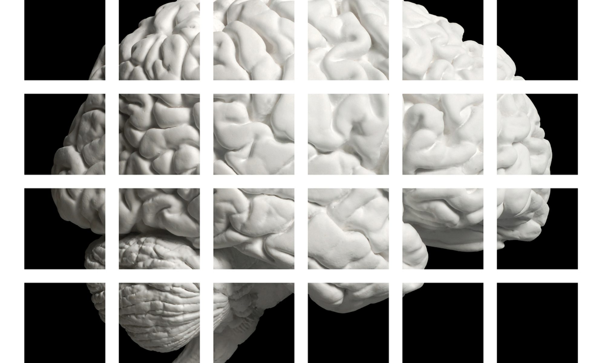 Grid: Brain Wall Installation Digital ink jet print. 85.5” x 85.5” x 1.25”. 12 x 12. 2011