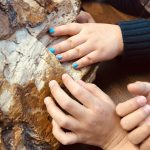 An introduction to petrified wood.